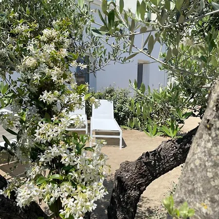 Le Agavi Luxory Surfhouse Apartment