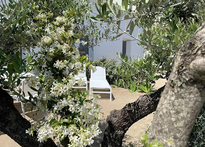 Le Agavi Luxory Surfhouse Appartamento